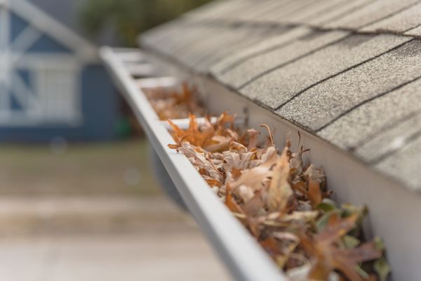 Leaf Barrier Installation in Newark