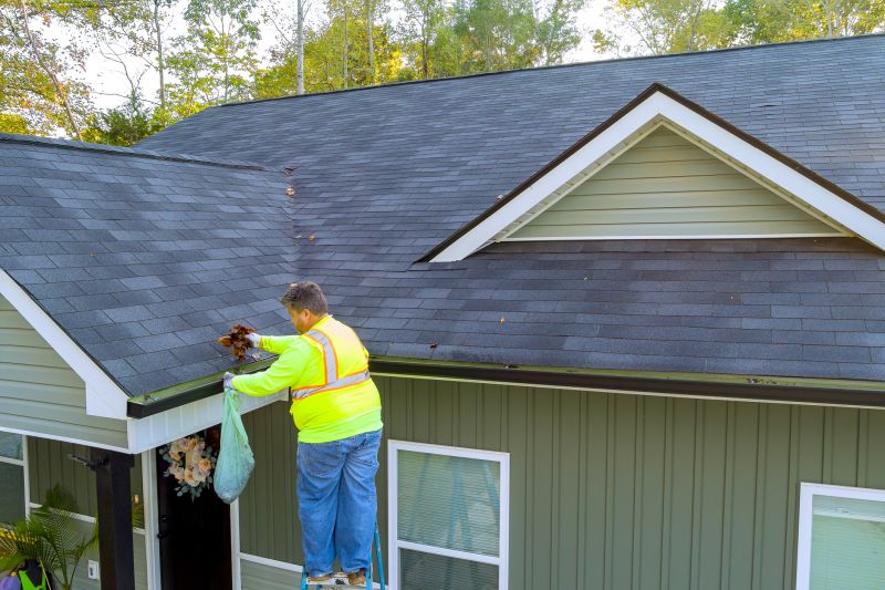 Gutter Cleaning Companies